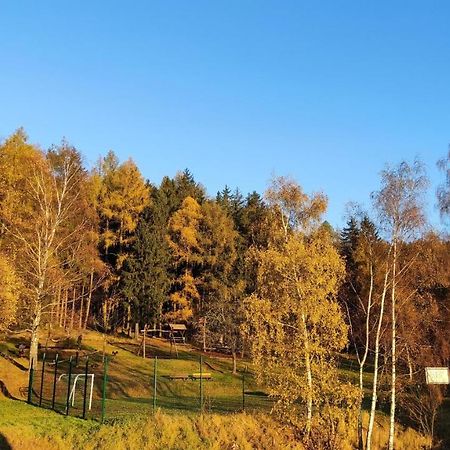 디폴디스발드 Feriendomizil Am Hochwald 아파트 외부 사진