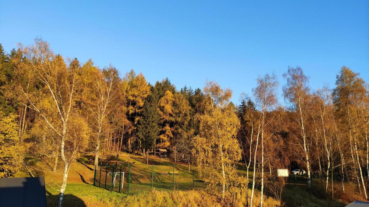 디폴디스발드 Feriendomizil Am Hochwald 아파트 외부 사진